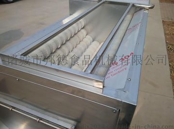 帶魚(yú)去鱗機(jī)、毛輥清洗機(jī)